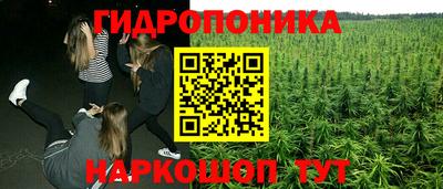 стафф Можга