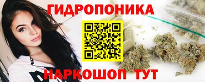 стафф Можга