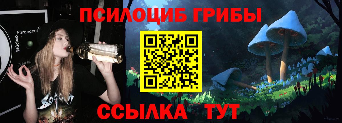 Псилоцибиновые грибы Cubensis  Псилоцибиновые грибы GOLDEN TEACHER  Вход с VPN  Щёлково 